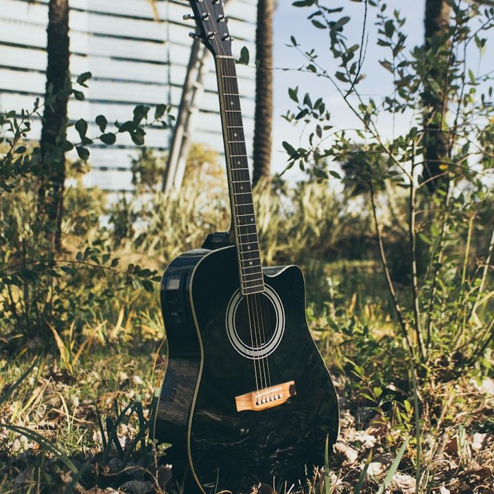 Acoustic Guitar